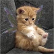 whyunravel