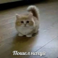ArsenAvagyan